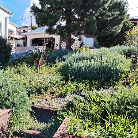 Casa Carreira Nyaraló *